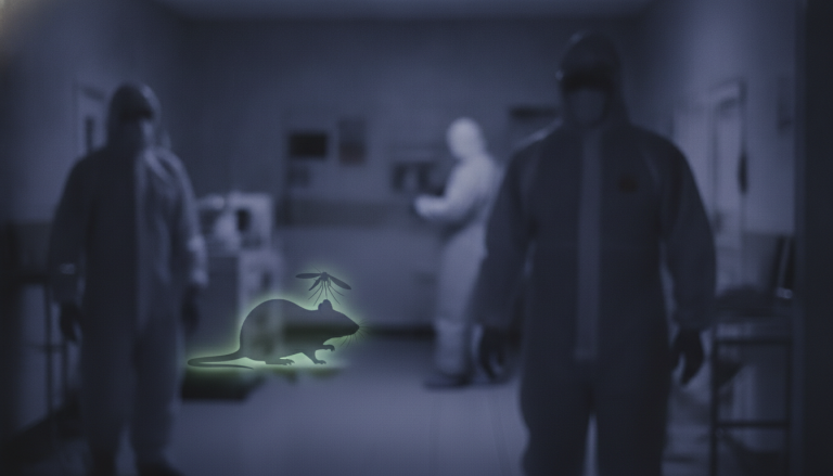 enquête sur les trois décès tragiques au venezuela causés par l'infection au hantavirus, mettant en lumière les risques sanitaires et les mesures de prévention.